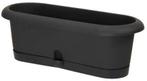 Bloembak tray Antraciet 40x16 cm, Ophalen of Verzenden, Nieuw