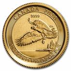 Canada. 2020 1/10 oz $5 CAD Canada Gold North American Bald