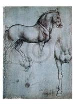 Kunstdruk Leonardo Da Vinci - Studio di cavalli 35x50cm, Verzenden, Nieuw