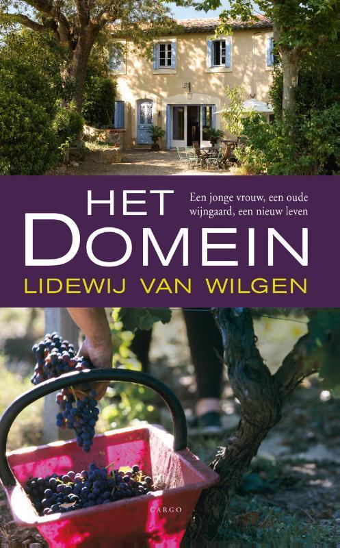 Het domein 9789023493426 Lidewij van Wilgen, Boeken, Literatuur, Gelezen, Verzenden