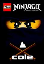 Ninjago - Masters Of Spinjitzu 9789048811007, Gelezen, Nvt, Verzenden