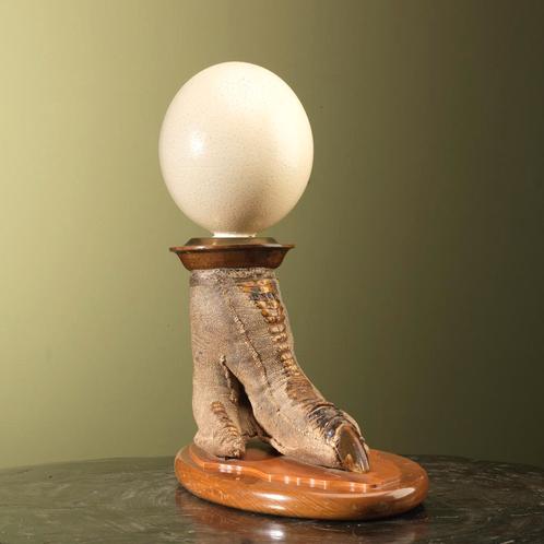Struisvogel Poot met Ei Taxidermie Opgezette Dieren By Max, Verzamelen, Dierenverzamelingen, Opgezet dier, Nieuw, Vogel, Ophalen of Verzenden