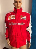 Ferrari - Formule 1 - Winter Jacket Driver - 2014 -, Nieuw