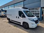 Fiat Ducato 2.3D Koelwagen Carrier Xarios 300 St 230V +20C/-, Gebruikt, Euro 6, Wit, Lease
