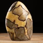 Septaria - Calciet - Aragoniet - Vrije vorm gepolijste steen, Nieuw