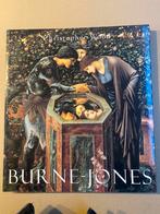 Pre-Rafaeliet en Aesthetic Movement - Edward Burne-Jones, Ophalen of Verzenden, Zo goed als nieuw, Schilder- en Tekenkunst