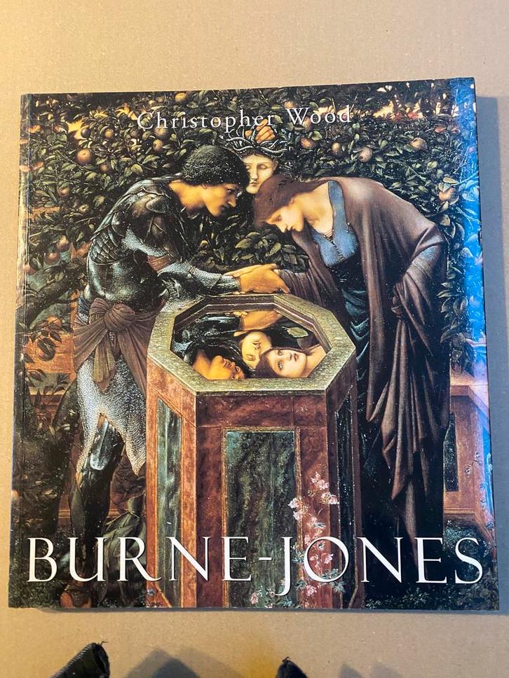 Pre-Rafaeliet en Aesthetic Movement - Edward Burne-Jones, Boeken, Kunst en Cultuur | Beeldend, Zo goed als nieuw, Schilder- en Tekenkunst