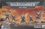 Drukhari Incubi (Warhammer Nieuw), Hobby en Vrije tijd, Ophalen of Verzenden, Nieuw