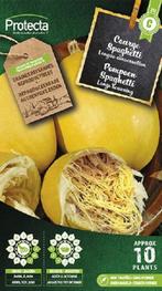 Protecta Groente zaden: Pompoen Spaghetti, Tuin en Terras, Ophalen of Verzenden