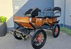 Easy-step menwagen koets rijtuig, Gebruikt, Wagonette, Paard of Pony