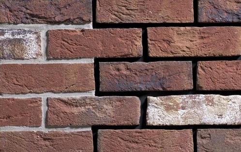 Engels Kameleon Dikformaat, Doe-het-zelf en Verbouw, Metselstenen, Verzenden