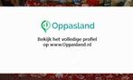 Dinne zoekt een oppas in Spijk voor 2 kinderen., Vacatures