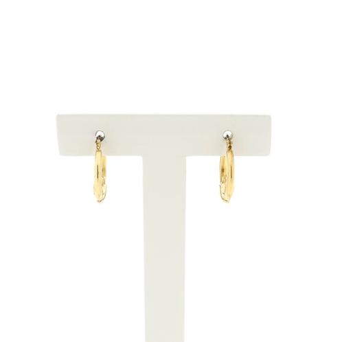 8 Krt. Oorringen met een muis | Ø 14 mm (oorbellen), Sieraden, Tassen en Uiterlijk, Antieke sieraden, Goud, Ophalen of Verzenden