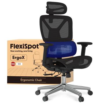 FLEXISPOT ErgoX Ergonomische Bureaustoel met Mesh, Draaibaar beschikbaar voor biedingen