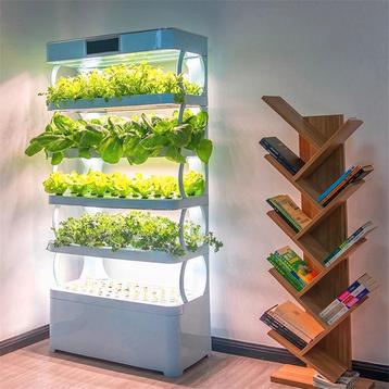 Verticale hydrocultuurtoren 170 cm met LED-groeilampen beschikbaar voor biedingen