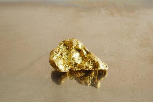 Goud Inheems, Nugget van Suriname of Frans-Guyana, Verzamelen, Dierenverzamelingen
