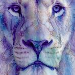 Wonder Art - White Alchemy - XXL