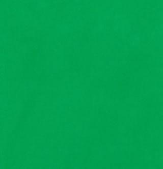 BRESSER Y-9 Achtergrond Doek 4x6m Chromakey Groen, Audio, Tv en Foto, Fotografie | Fotostudio en Toebehoren, Achtergrond, Nieuw