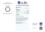 Geen minimumprijs - ALGT-gecertificeerd - Armband of ketting