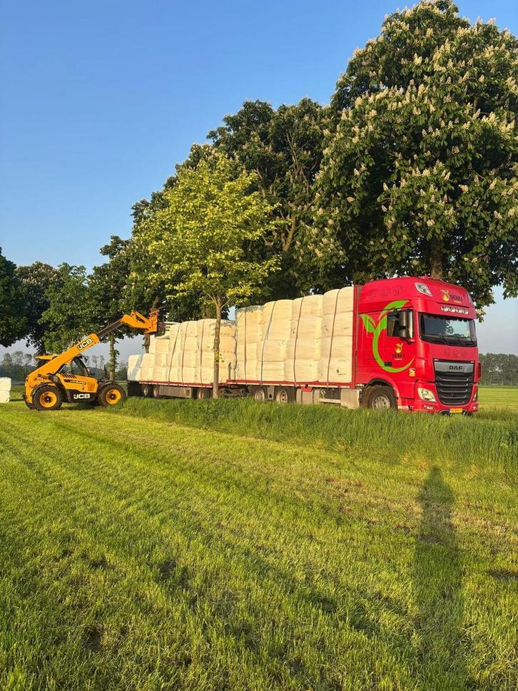Voordroog met Pavo analyse - vierkante-, ronde en midibalen, Dieren en Toebehoren, Dierenvoeding, Vee, Ophalen of Verzenden