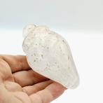 Oud Tibetaans of Nepalees Rock Crystal Ritual Conh Shell -, Antiek en Kunst