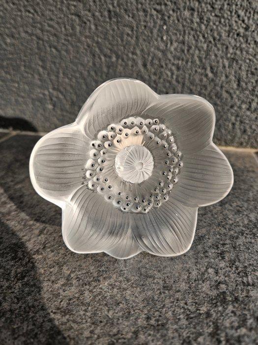 Lalique - sculptuur, Fleur anémone Lalique - 9 cm - Kristal, Antiek en Kunst, Antiek | Glas en Kristal
