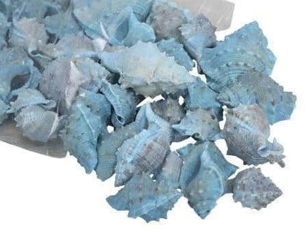 White Chimman Schelpen Blauw 500 gram, Hobby en Vrije tijd, Knutselen, Nieuw, Ophalen of Verzenden