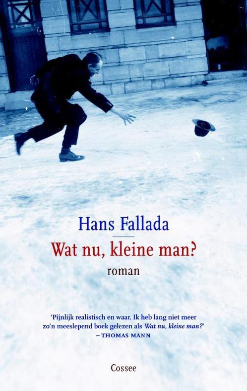 Wat nu, kleine man? 9789059363212 Hans Fallada, Boeken, Romans, Zo goed als nieuw, Verzenden