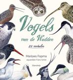 9789083162997 Vogels van de Wadden | Tweedehands, Verzenden, Zo goed als nieuw, Marloes Fopma