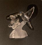 Swarovski - Swarovski - sculptuur, Hummingbird - 166184 -