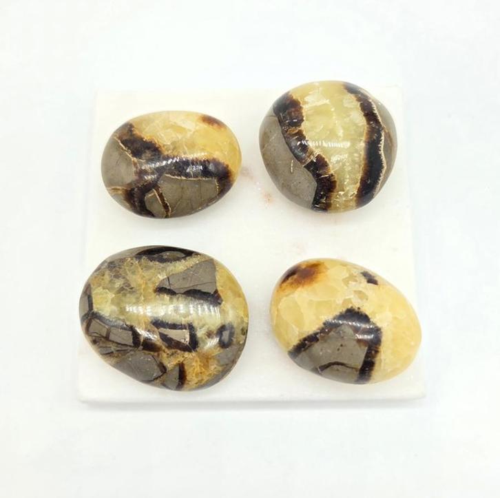 Septarie Handsteen/Broekzaksteen, Verzamelen, Mineralen en Fossielen, Ophalen of Verzenden