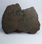 Koolstofhoudende meteoriet CO3, NWA 16415. Hoofdmis. - 1395