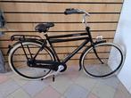 Nette Sparta Pick Up : Heren/transportfiets