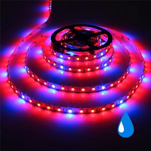 Grow light led strip - Rood/Blauw - IP65 - 5:1 - 5 meter, Auto-onderdelen, Verlichting, Ophalen of Verzenden