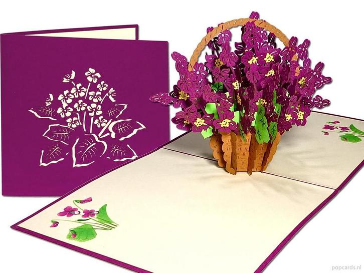 Bloemenkaart Kaaps Viooltje in rieten mand, Diversen, Wenskaarten, Nieuw, Verzenden