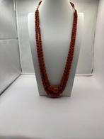 Koraal - 18 karaat - Geel goud - Halsketting - Rood koraal, Verzamelen, Mineralen en Fossielen