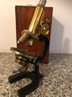 Microscoop - 55650 - 1900-1910, 1920-1930 - Oostenrijk -