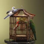 Parkieten op Kooi Taxidermie Opgezette Dieren By Max, Ophalen of Verzenden, Nieuw, Vogel, Opgezet dier