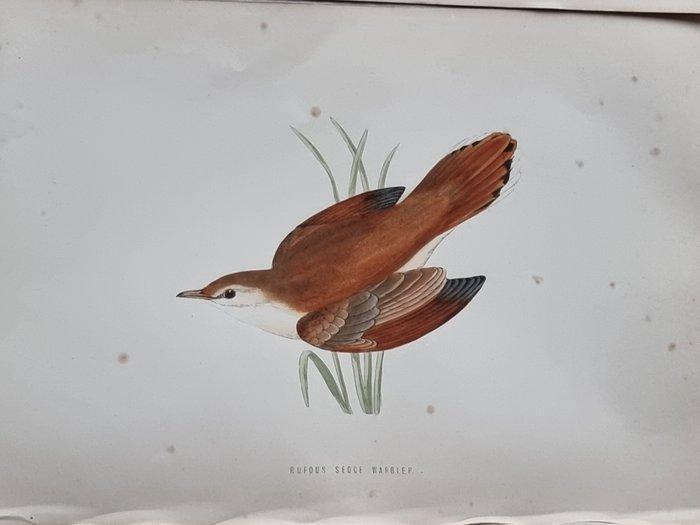 Francis Orpen Morris / Benjamin Fawcett - Lot of 52 plates, Antiek en Kunst, Antiek | Boeken en Bijbels