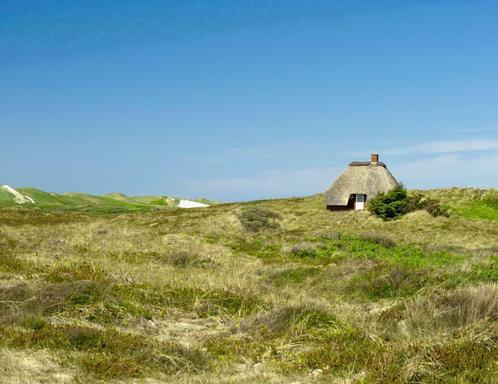 Ons vakantiehuis in Zeeland in Tholen is te huur!, Vakantie, Vakantiehuizen | Nederland, Eigenaar, Aan zee, In bos, Afwasmachine