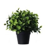 Kunstplantje ‘Photonia’ | UV Bestendig | 22cm, Ophalen, Nieuw