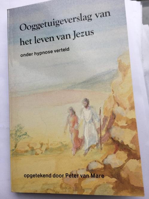 Ooggetuigeverslag van het leven van Jezus onder hypnose, Boeken, Esoterie en Spiritualiteit, Gelezen, Verzenden