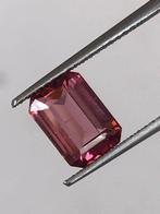 1 pcs Toermalijn - 1.93 ct - International Gemological, Nieuw