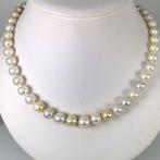 Halsketting Zilver Parel - Regenboog SSP Ø8,6x12,8mm, Nieuw