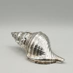 Conchiglia rivestita in Argento 925 - Figuur - .925 zilver,