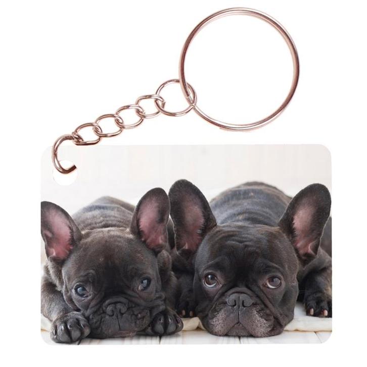 Sleutelhanger 6x4cm - Franse Bulldog Pups Duo op Kleed NIEUW, Verzamelen, Sleutelhangers, Nieuw, Ophalen of Verzenden
