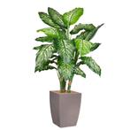 Dieffenbachia kunstplant, H140cm, Huis en Inrichting, Kamerplanten, Ophalen of Verzenden