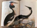 Vogel-illustraties als kunstvorm - vrij zeldzaam, Boeken, Dieren en Huisdieren, Gelezen, Vogels, Verzenden