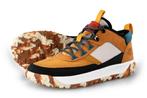 Timberland Sneakers in maat 41 Bruin | 10% extra korting, Kleding | Heren, Schoenen, Nieuw, Bruin, Sneakers of Gympen, Verzenden