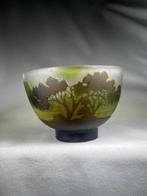 Emile Gallé - Vaas - Glas